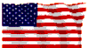 Citizens Flag Alliance Website